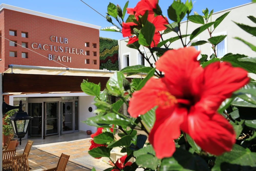 undefined Cactus Fleur Bay Resort 7