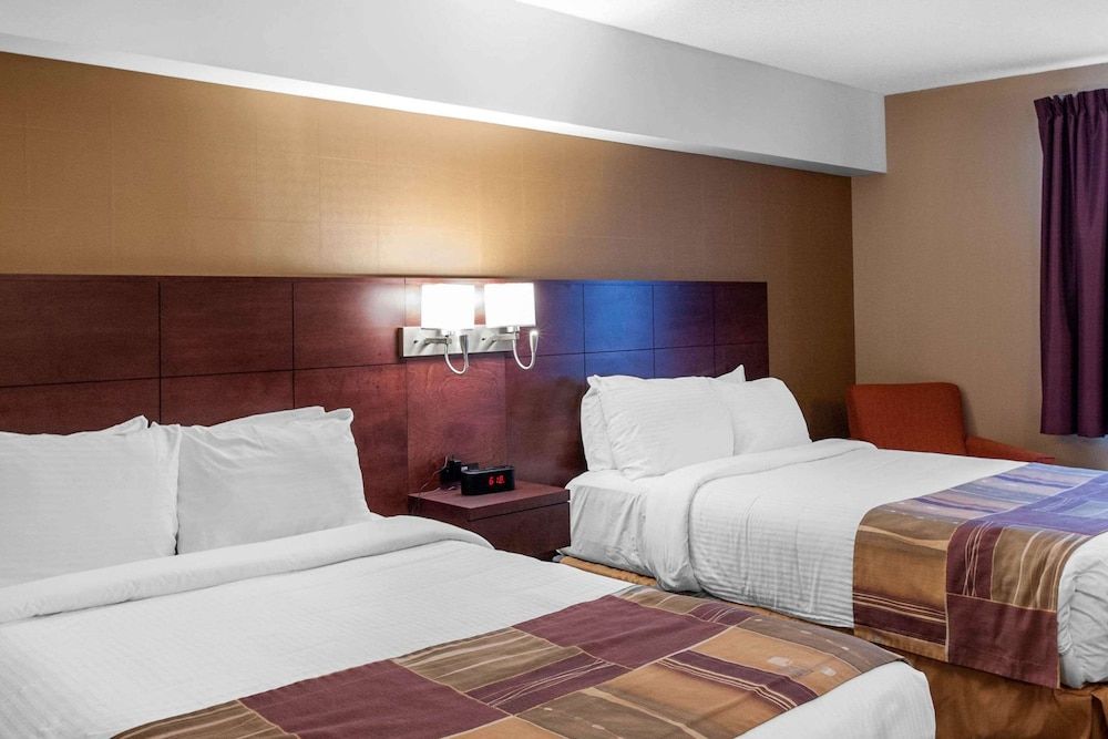 Quality Hotel & Suites