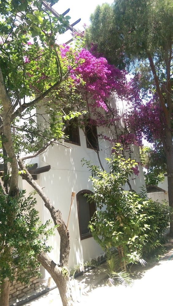 undefined Ece Hotel Bodrum 3