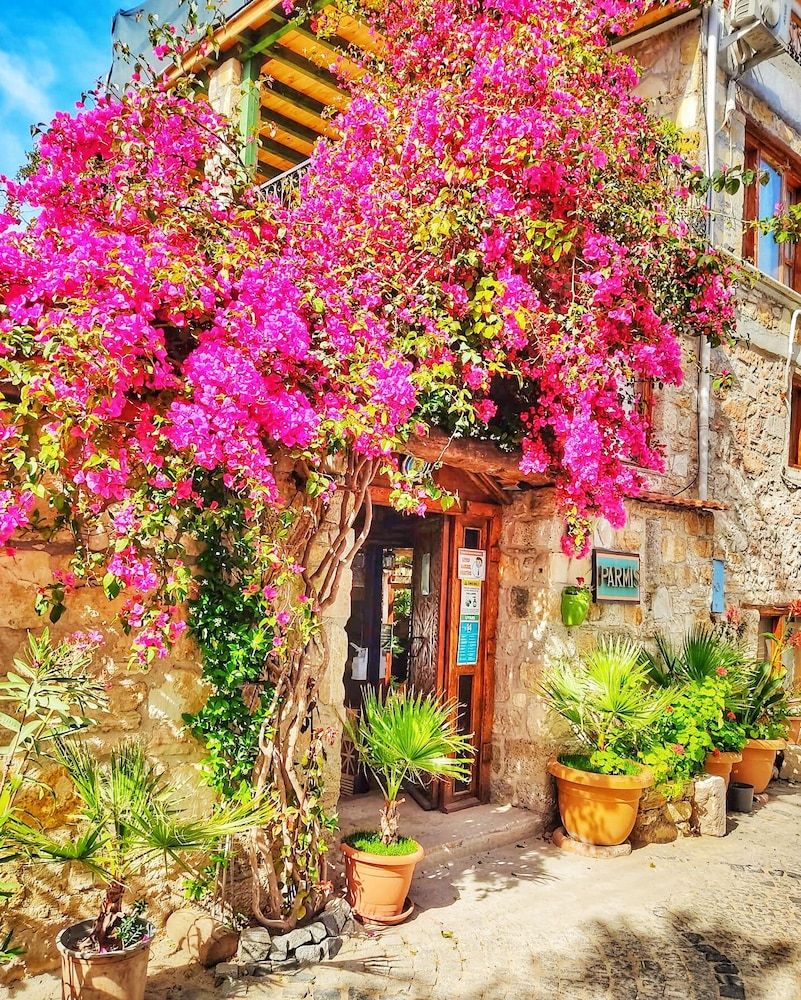 undefined Parmis Boutique House 5