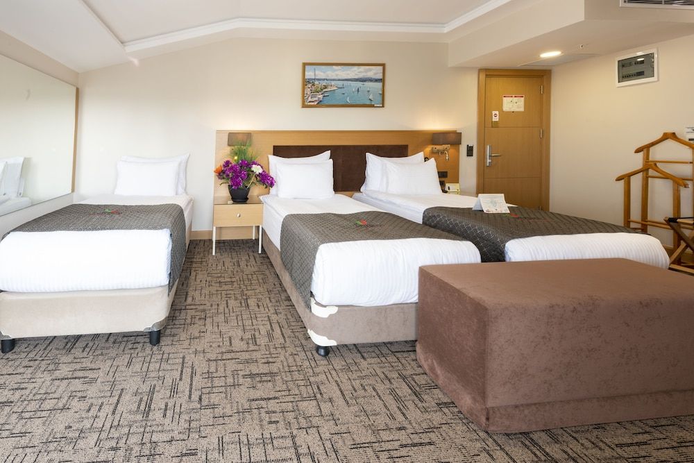 undefined Hotel Boursier 1 & SPA Istanbul 4