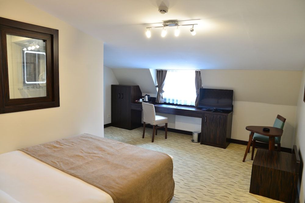 Golden Siyav Hotel Executive Double Room, 1 Double Bed 3
