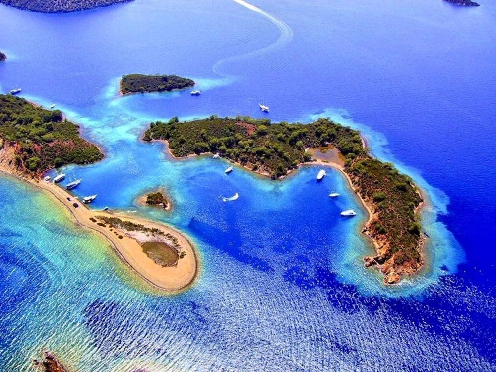 undefined Green Forest Holiday Village 10