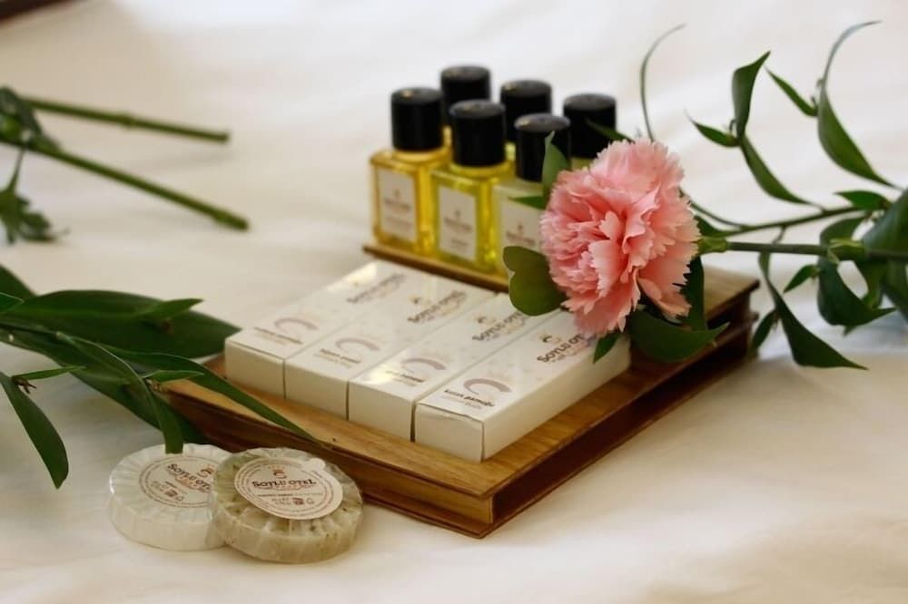 Soylu Hotel Standard Single Room 9
