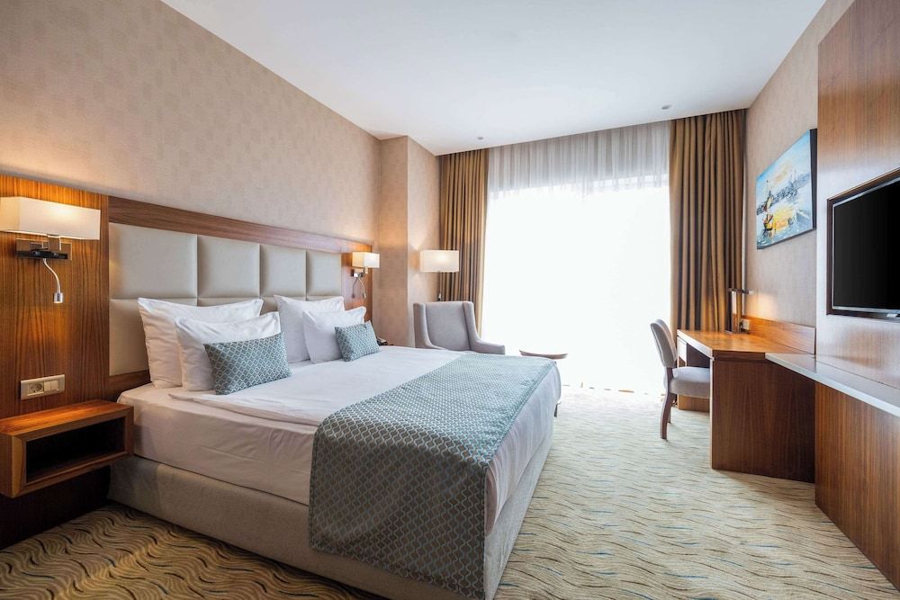 undefined Clarion Hotel Istanbul Mahmutbey 8