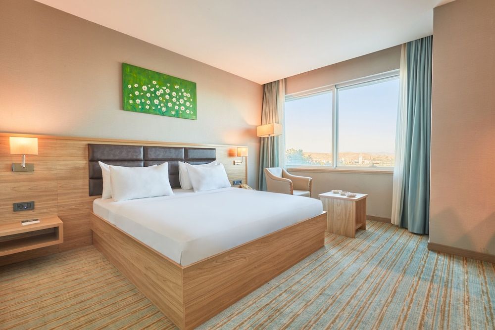 Park Dedeman Elaziğ Superior Double Room 7