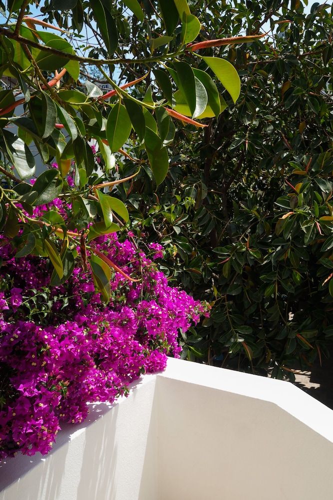 undefined Oya Boutique Hotel & Suites 10