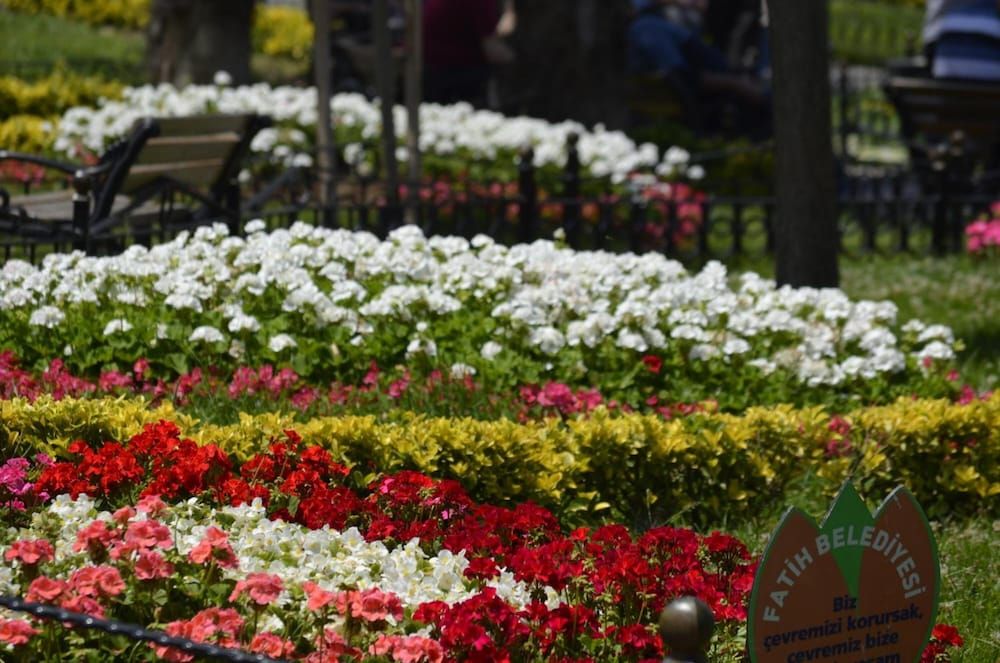 undefined Hotel Ekol 7