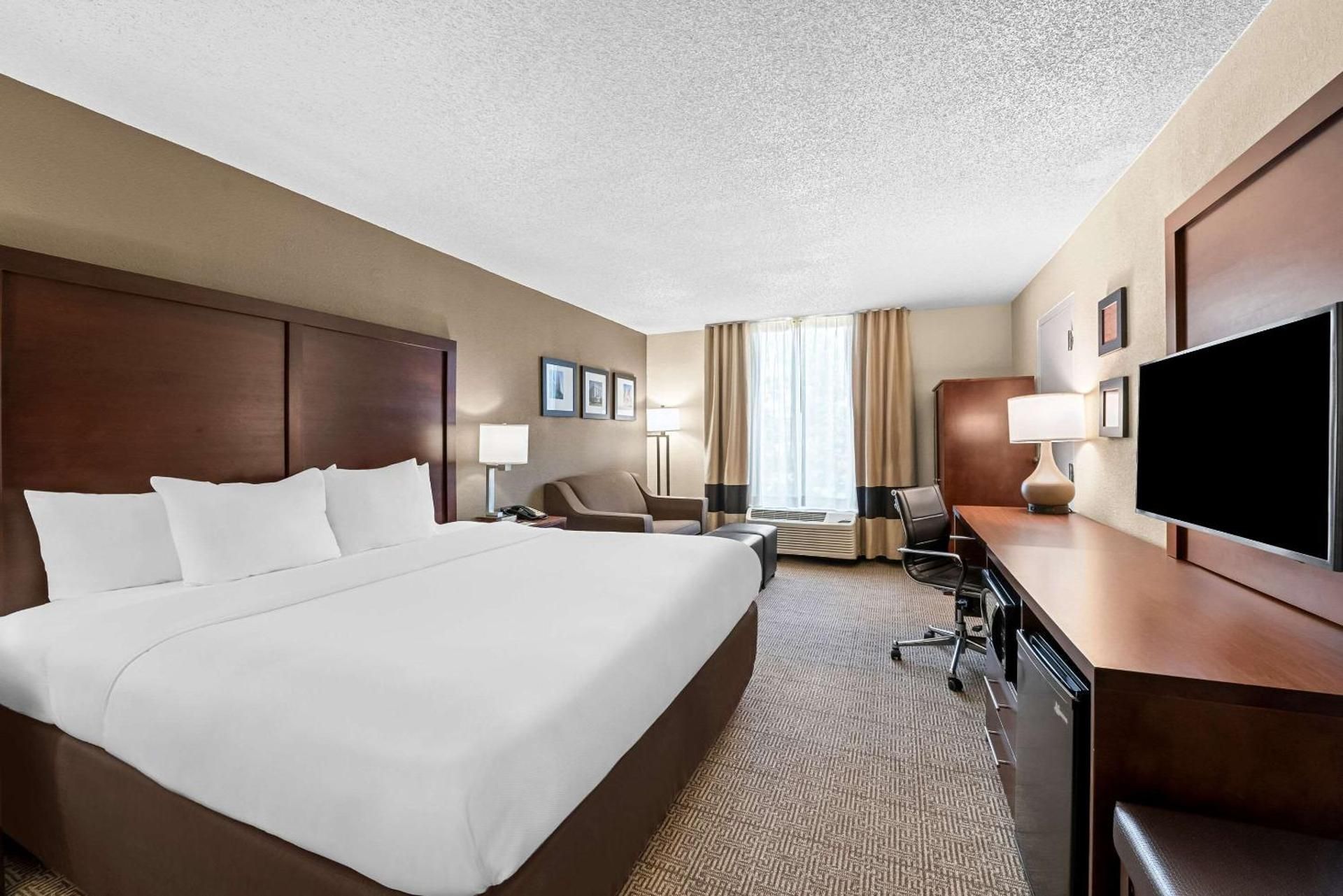 1 King Bed, Suite, Nonsmoking