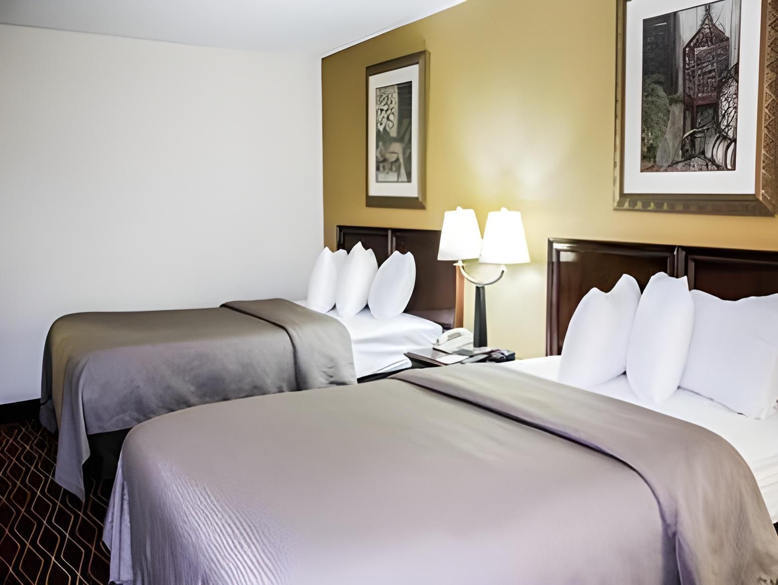 1 Bedroom Suite