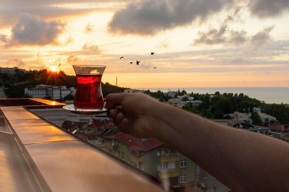 undefined White House Hotel 4