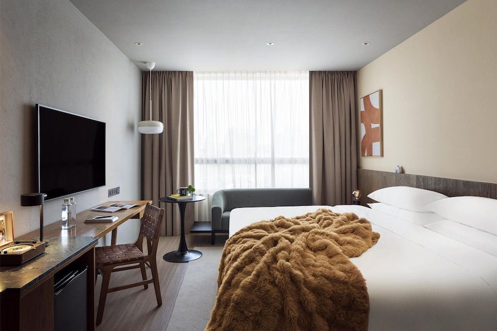 Room, 1 King Bed