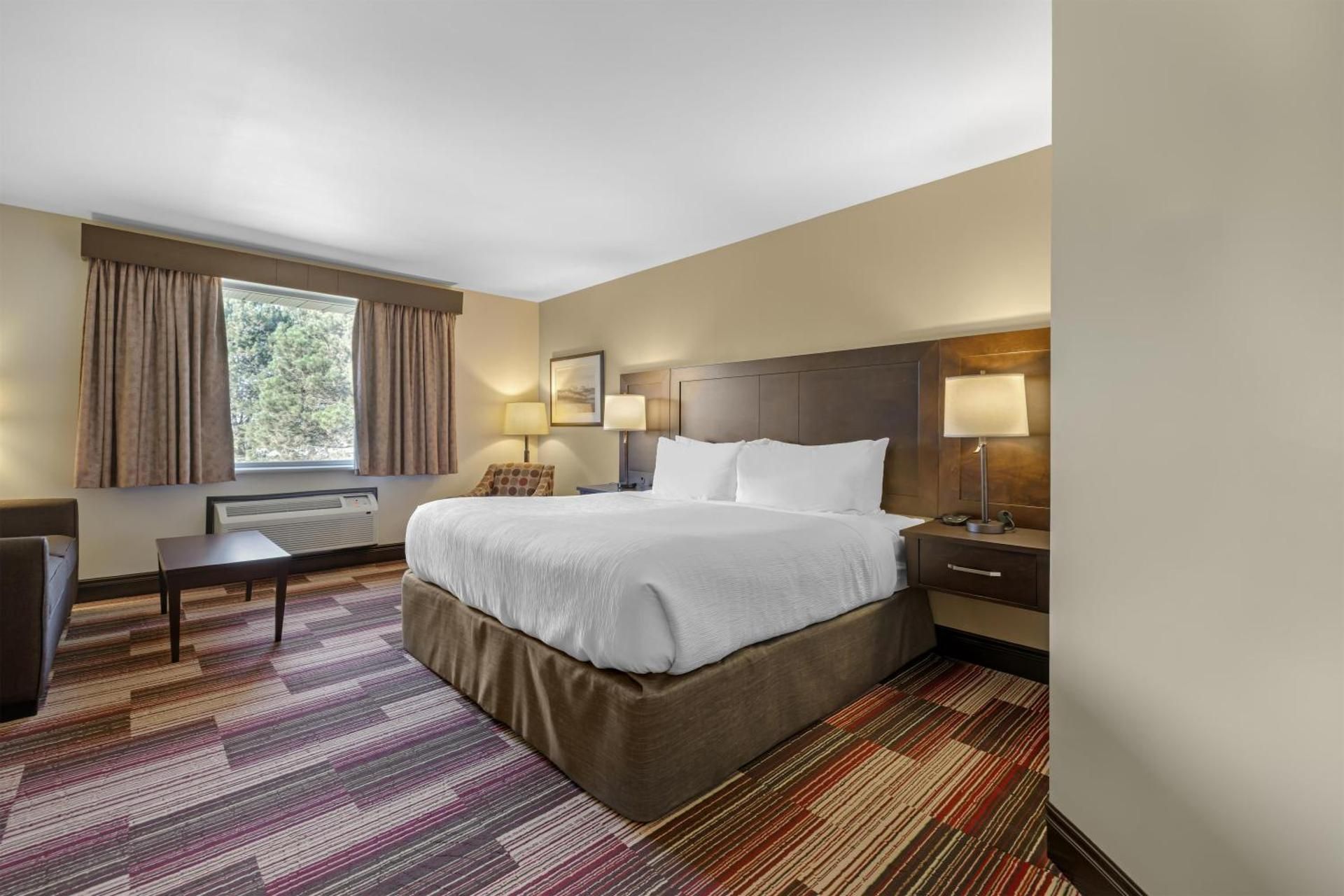1 King Bed, Nonsmoking, Sofabed