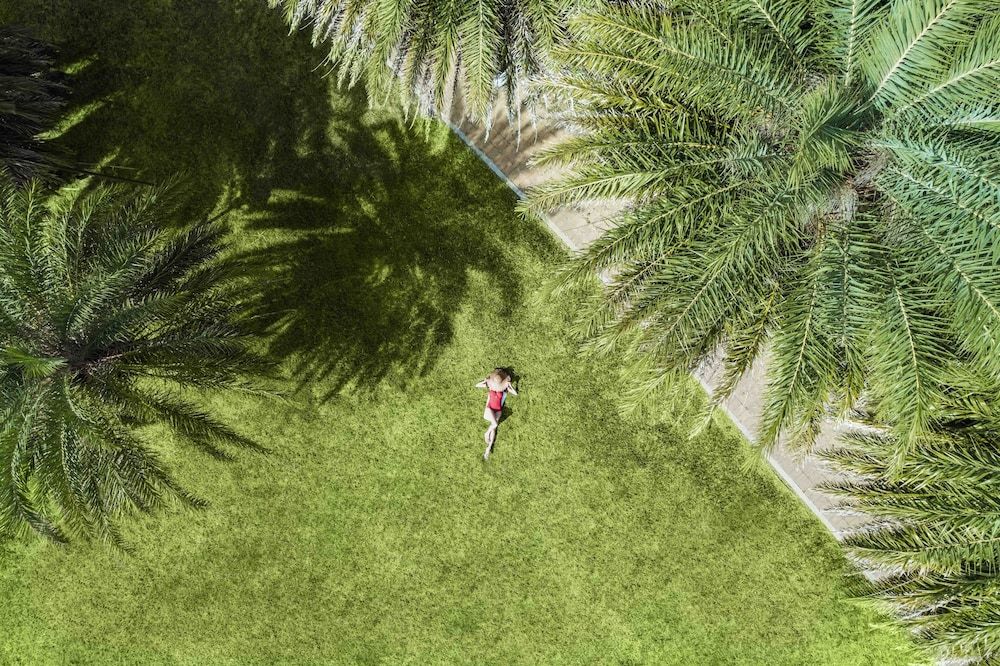 Outdoor Wedding Area