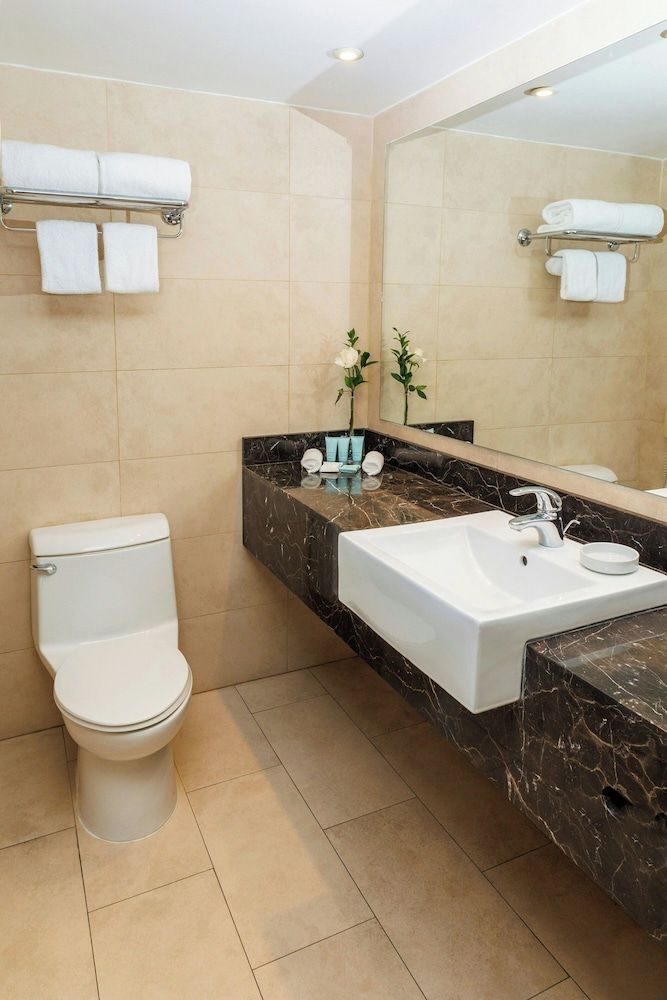 Le Méridien Santiago Classic Room, 1 King Bed, Non Smoking, City View 3