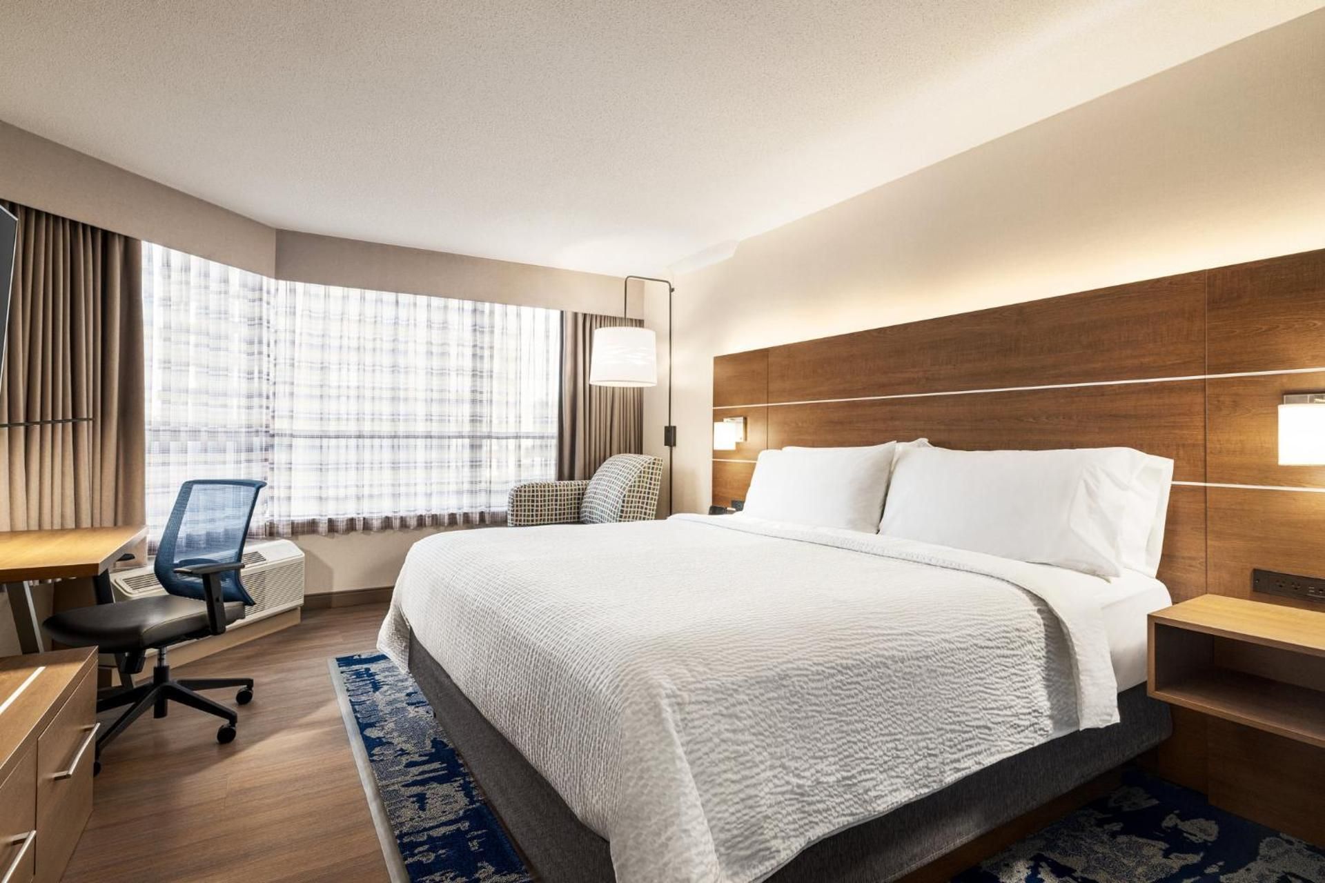 1 King Bed Standard City View