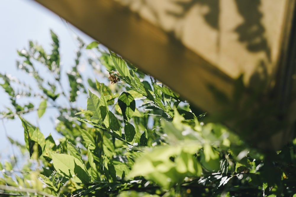 Monet Garden B&B Standard Double Room 9