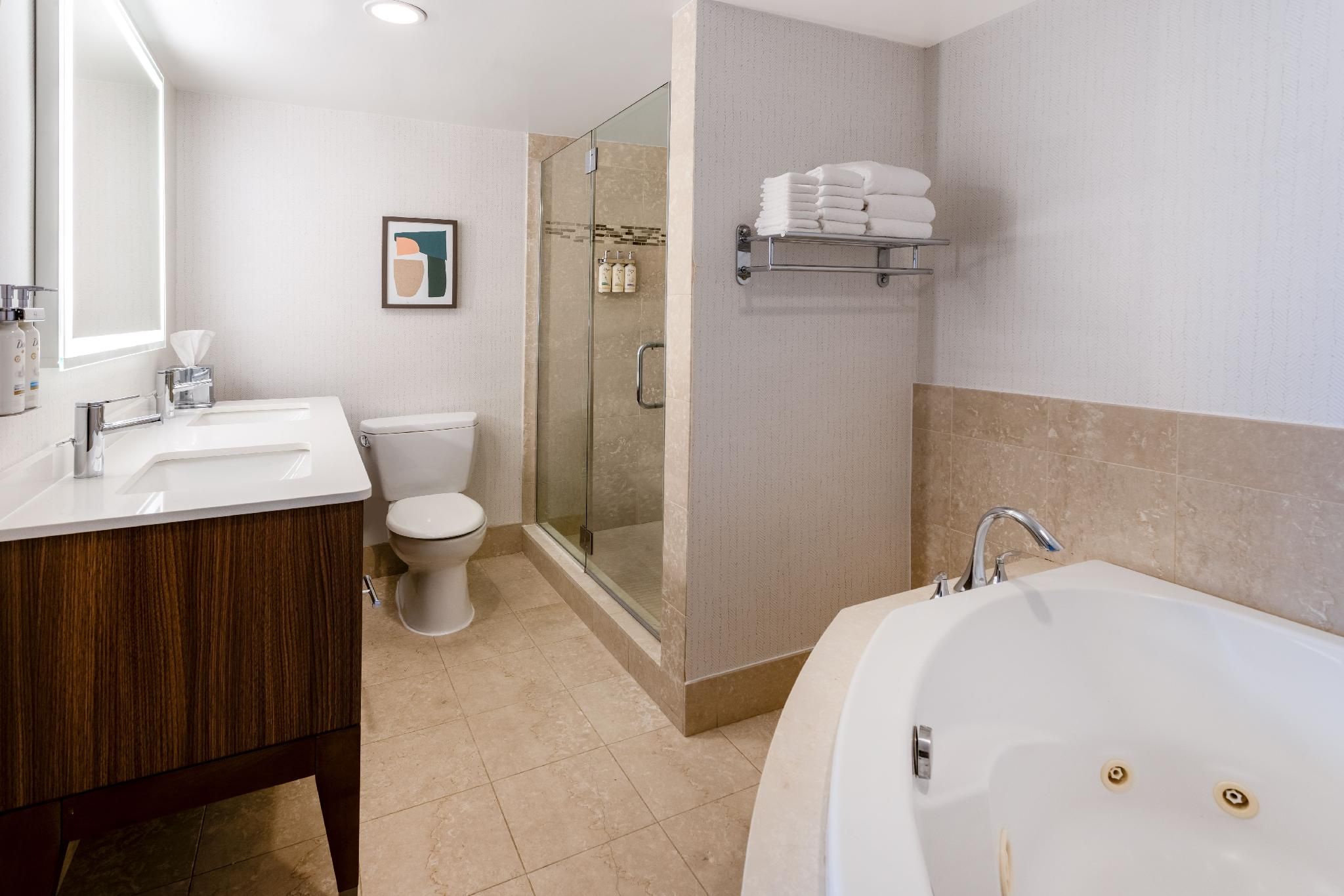 1 Bedroom Suite