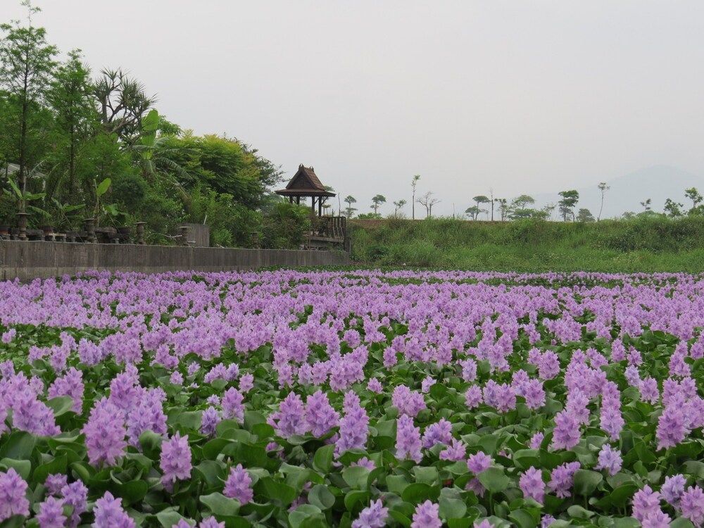 Beautiful Ilan Resort Loft 2 Double Beds 2