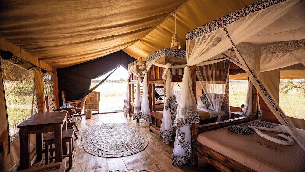 Safari Comfort Family 4-6pax