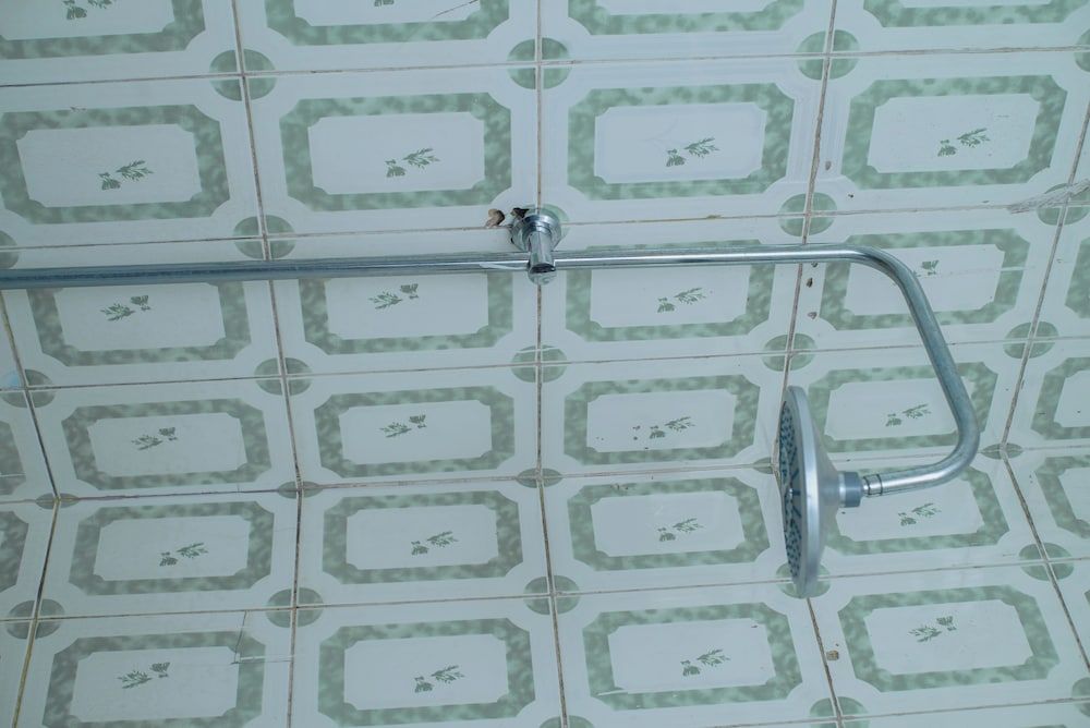 Arusha Giraffe Lodge