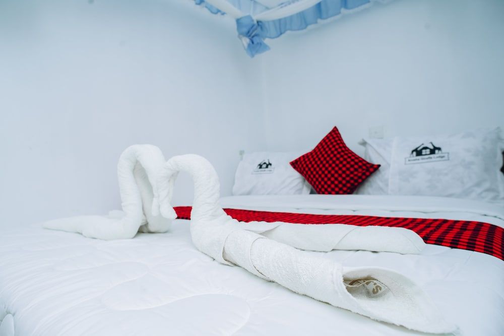 Arusha Giraffe Lodge Deluxe Twin Room 4