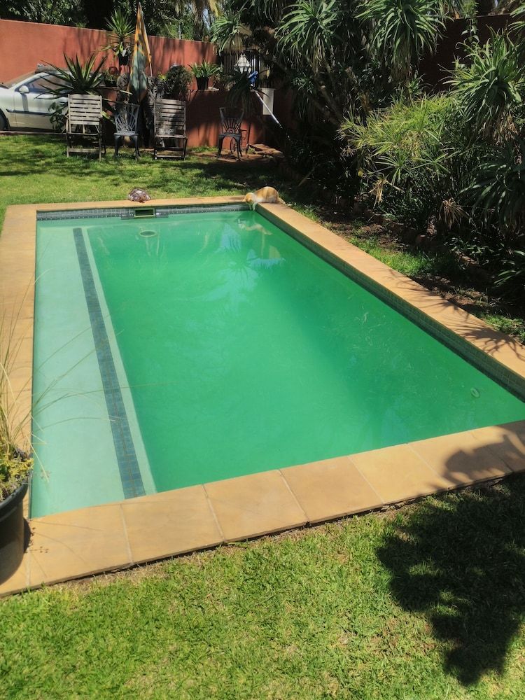 undefined Sleepy Gecko Guest House 9