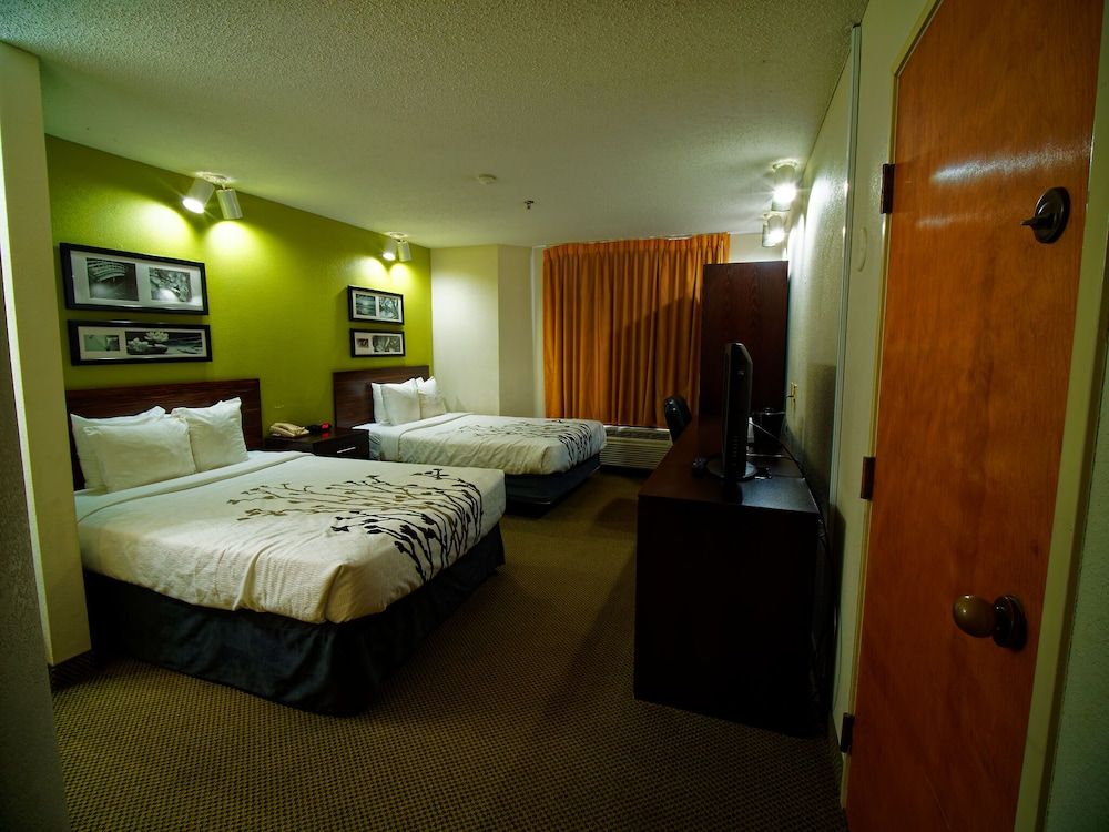 Standard Double Room, 2 Double Beds, Non Smoking