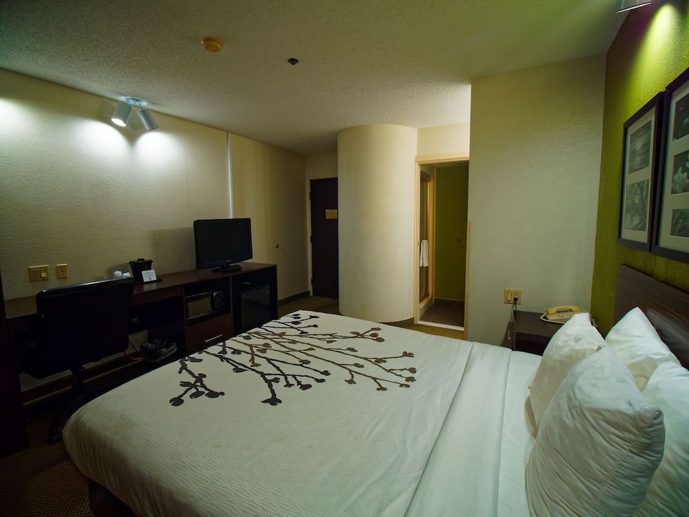 Room, 1 King Bed, Accessible, Non Smoking