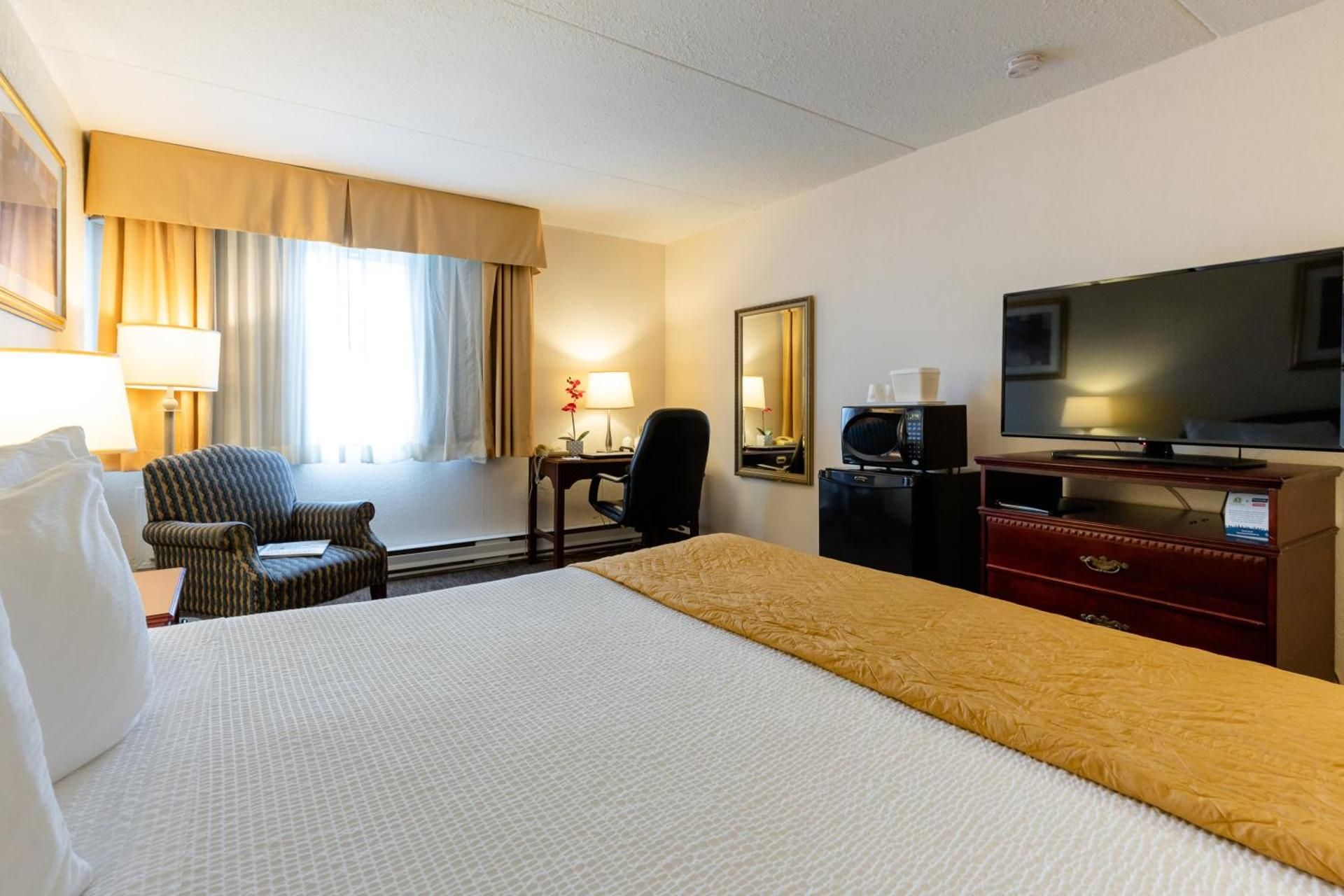 1 King Bed Non-Smoking