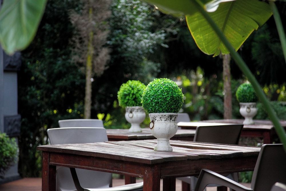 Palm Tree Manor Executive Double Room 4