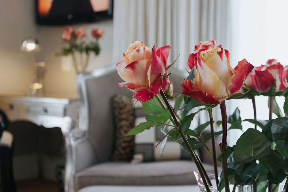 Superior Double or Twin Room (Mayfair)