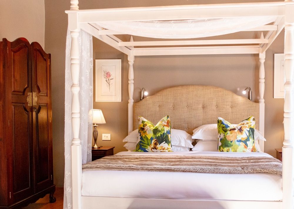 Heritage Protea