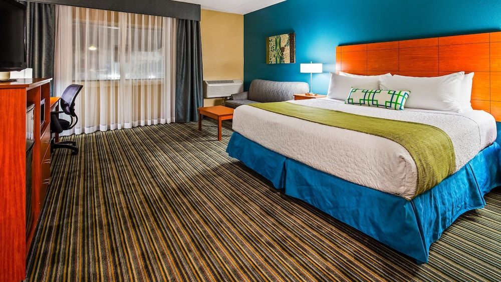 Standard Room, 1 King Bed, Accessible, Refrigerator & Microwave (with Sofabed)