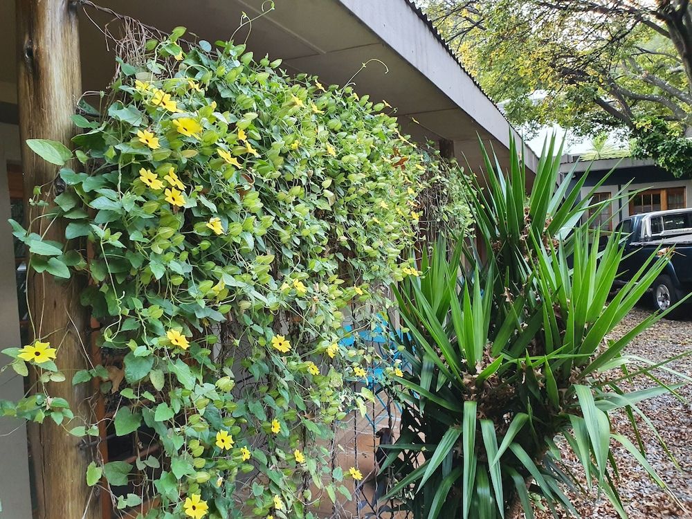 undefined 7th Street Guesthouse 8