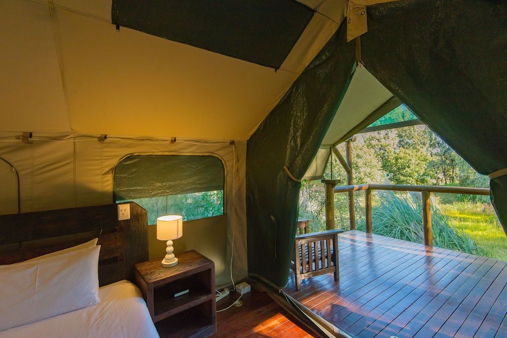 Amadwala Lodge Safari Tent 4