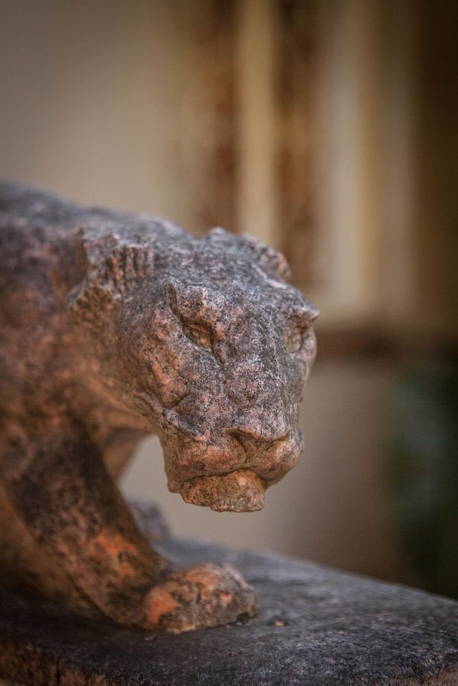 undefined The Lions Guesthouse 3