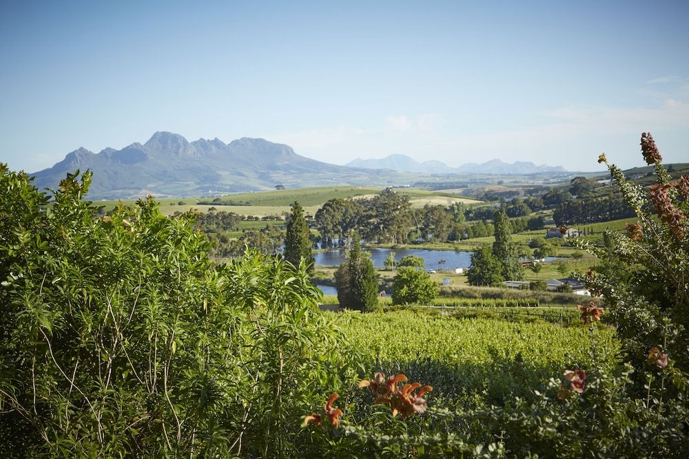 The Devon Valley Hotel Family Suite 2