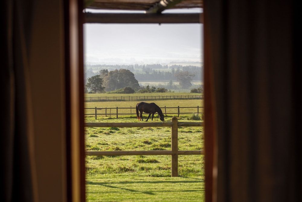 Raptor Rise Double Room 6