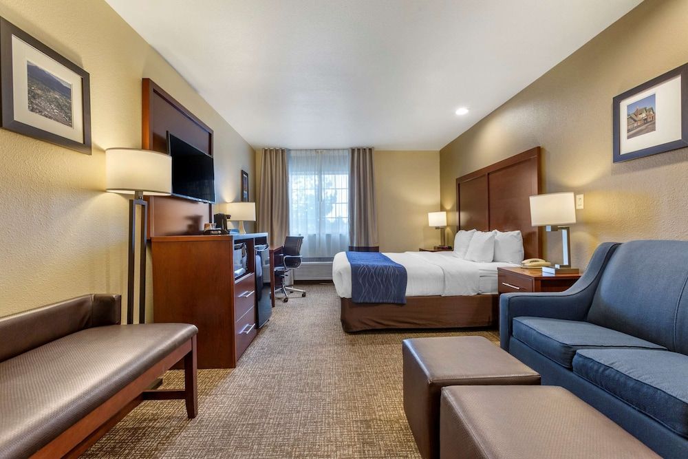 Standard Room, 1 King Bed, Non Smoking