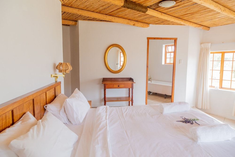 Standard Double or Twin Room, Mountain View
