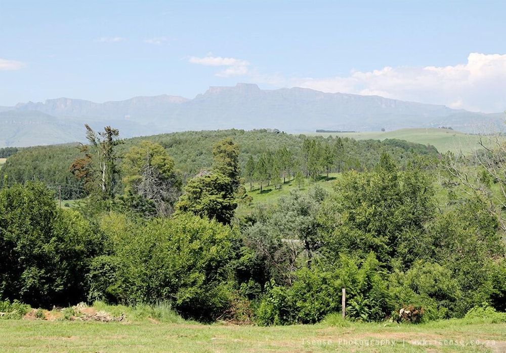 The Nest Drakensberg Hotel Basic Double or Twin Room, 1 Bedroom, Mountain View 5