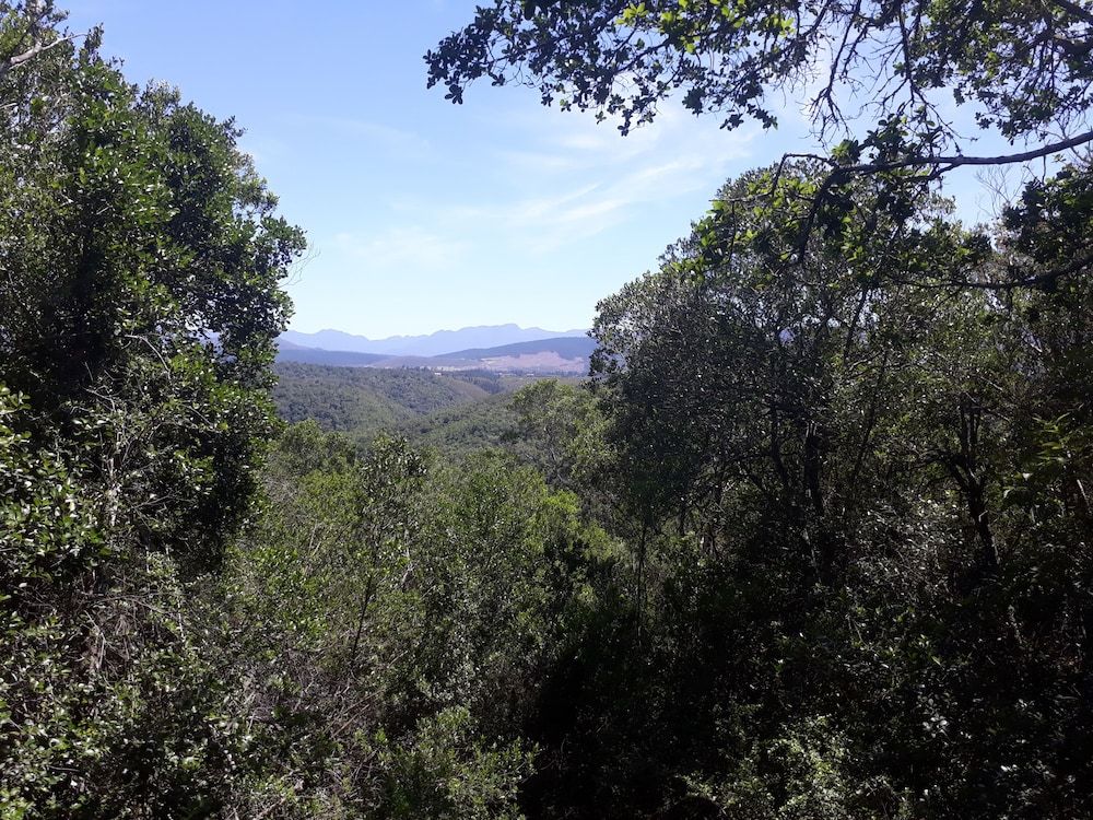 Moon Shine on Whiskey Creek Family Cabin, 2 Bedrooms, Mountain View 7