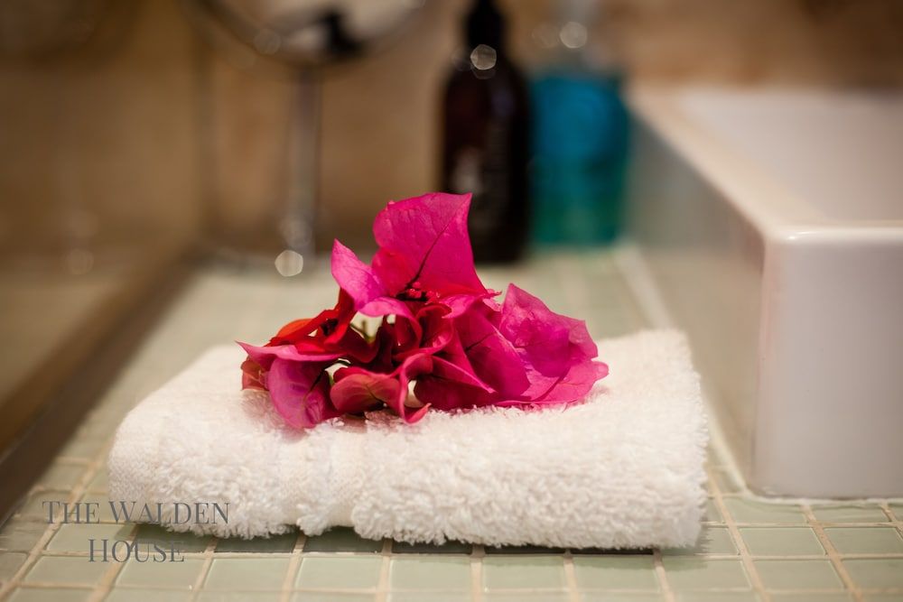 The Walden House Standard Double or Twin Room 15