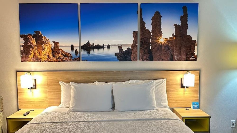 Room, 1 King Bed, Mobility Accessible, Non Smoking (Roll-in Shower)