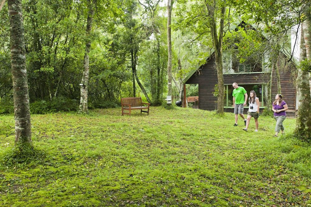 Forest Lodge