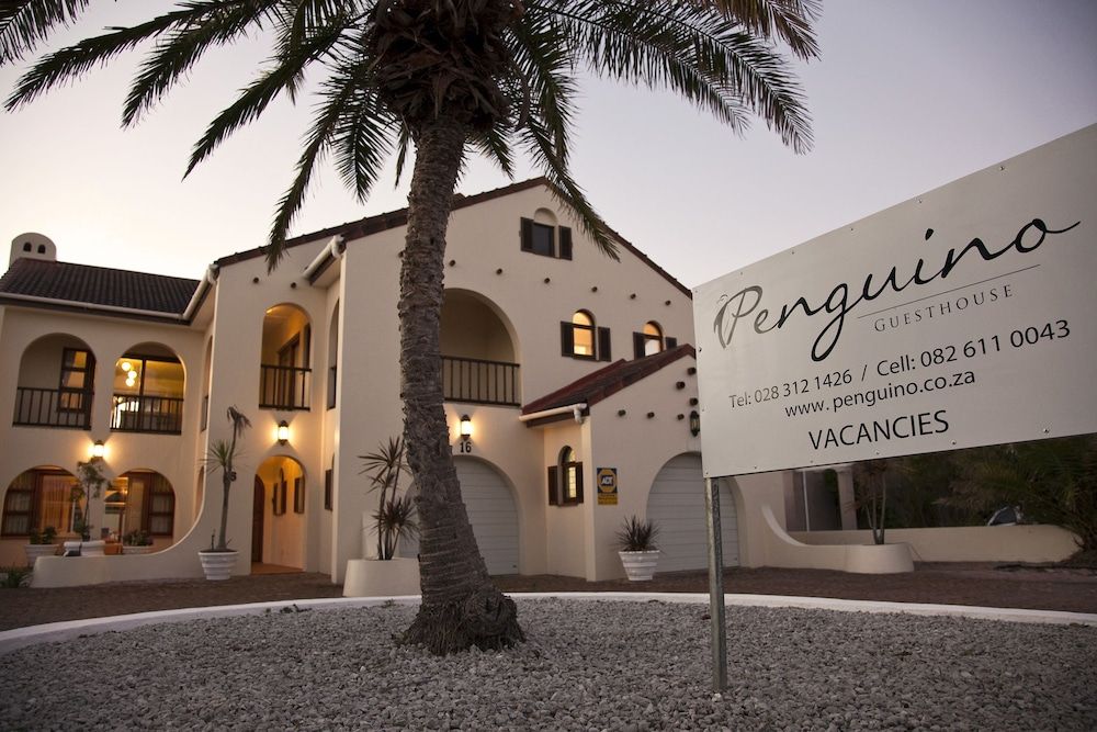 undefined Penguino Guest House 7