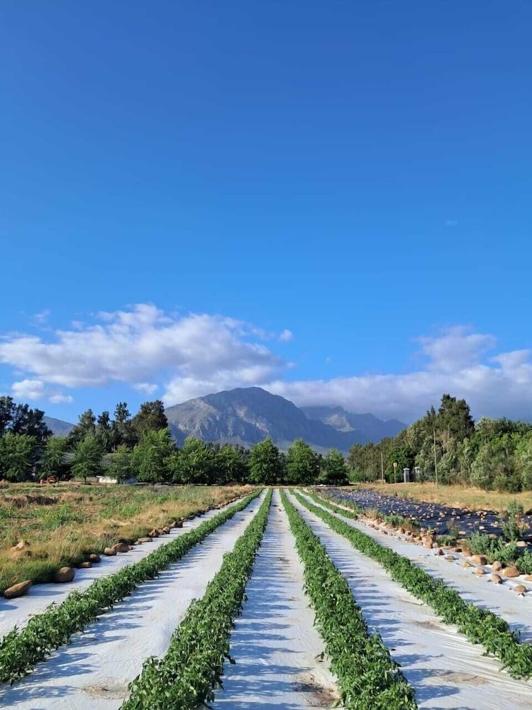 Vindoux Guest Farm and Day Spa Standard Cottage, 2 Bedrooms 6