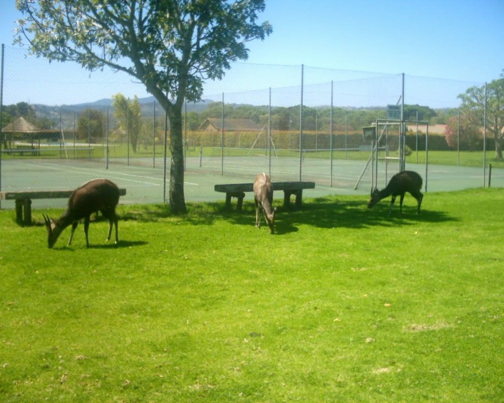 undefined Brenton Park Holiday Cottages 5