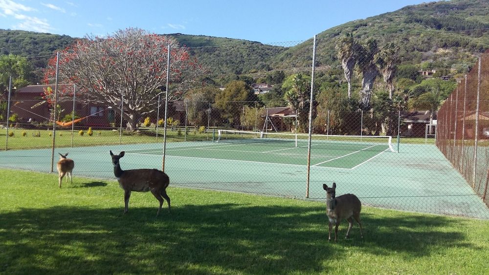 undefined Brenton Park Holiday Cottages 6